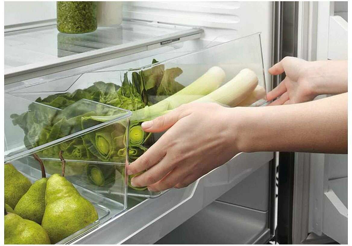 Fisher & Paykel 569L French Door Refrigerator RF610ADUX5 | Greater Sydney Only