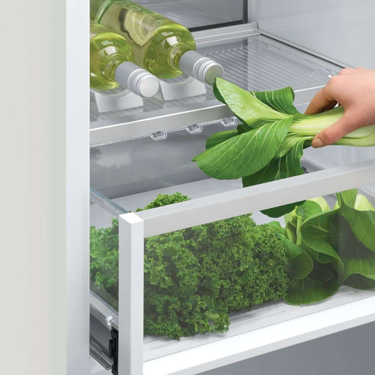 Fisher & Paykel 303L Integrated Refrigerator RS6019BRU1 | Greater Sydney Only