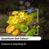 Hisense 65" S7NAU 4K QLED Canvas TV 65S7NAU