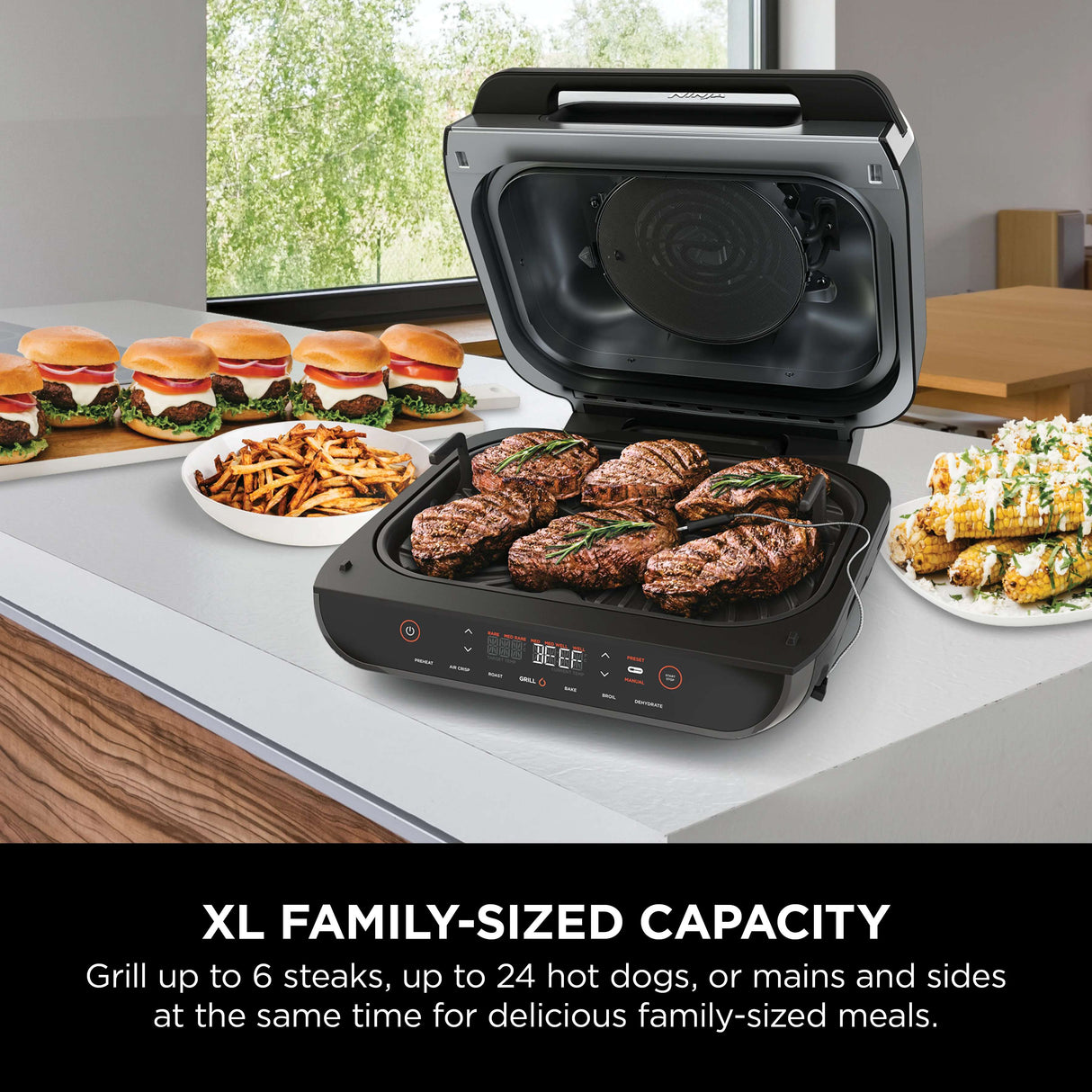 Ninja Foodi Smart XL Grill and Air Fryer AG551