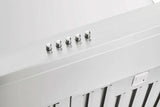 Schweigen 120cm Non-Silent 2200m3/hr Stainless Steel BBQ Canopy Rangehood CL6272