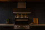 Schweigen 120cm Silent 3000m3/hr TwinMotor S/S BBQ Canopy Rangehood DBH1200SP2