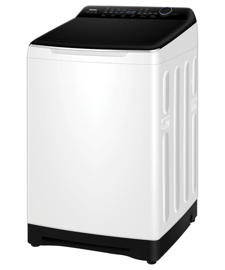 Haier 12kg Top Load Washing Machine HWT12AD1