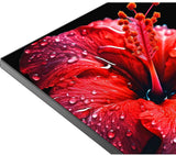 CHiQ 32" M10 HD LED Smart Google TV L32M10