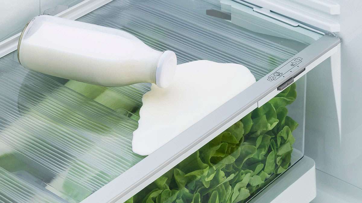 Fisher & Paykel 494L Bottom Mount Refrigerator RF522BLPX6 | Greater Sydney Only