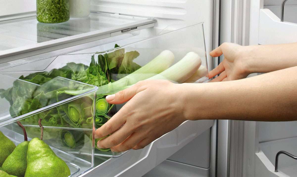 Fisher & Paykel 494L Bottom Mount Refrigerator RF522BLPX6 | Greater Sydney Only